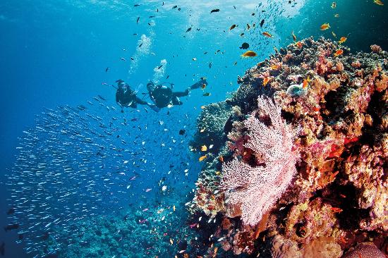 Great Barrier Reef