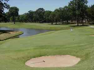 16Green2