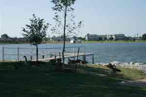 20090710 3371  Small