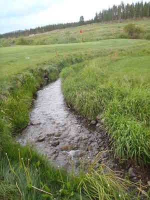 2010 7 20 Pole Creek 039