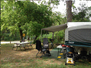 43112photoc9548202 79fe 4c6b 9f95 733959474984 gif