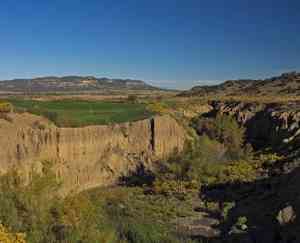 Cougar Canyon  13