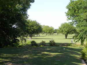 DSCN0696