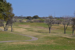 DSC 0003