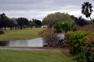 DSC 1156