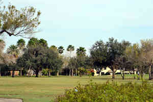 DSC 1202