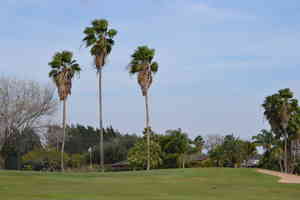 DSC 1222