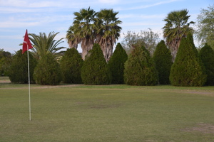 DSC 1325