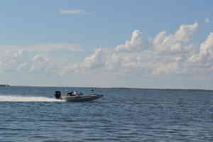DSC 1351