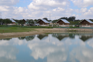 DSC 1379
