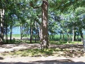 Fairfield Lake17