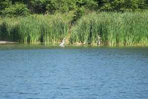 Fairfield Lake7