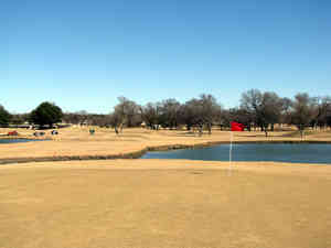 IMG 0100