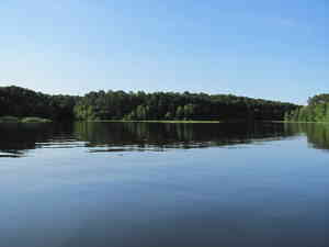 IMG 0272