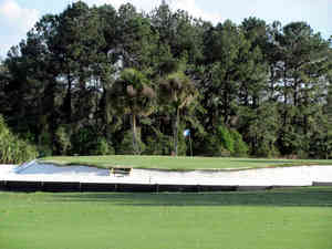 IMG 0357