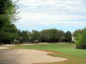 IMG 0429