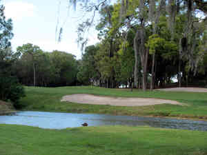 IMG 0632