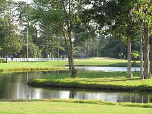 IMG 0787
