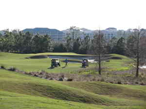 IMG 0841