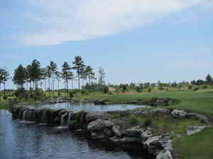 IMG 0968