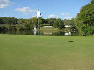 IMG 3071