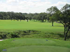 IMG 3154