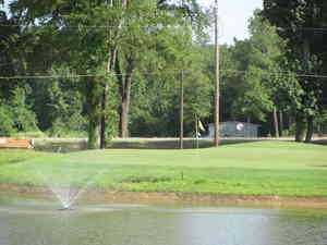 IMG 3560