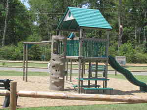 IMG 3598