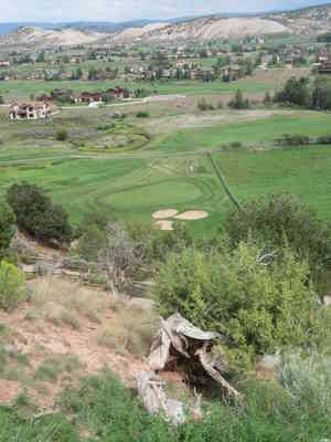 IMG 3658