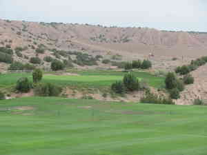 IMG 4606