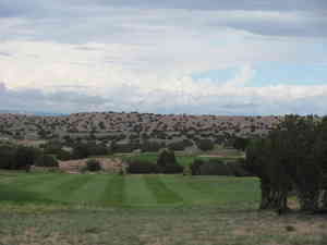 IMG 4623