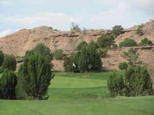 IMG 4653