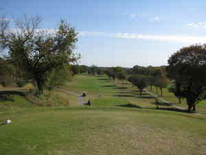 IMG 4717