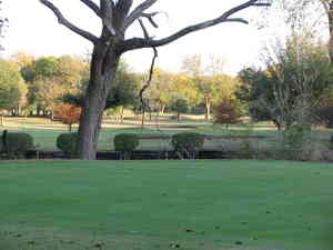 IMG 4733