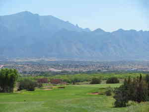 IMG 4815