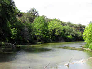 IMG 4967