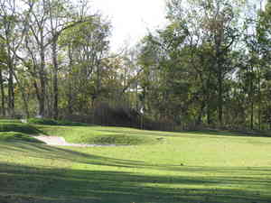 IMG 5039