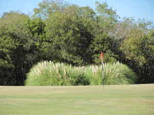 IMG 5255