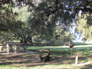 IMG 5279