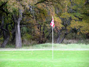 IMG 5529
