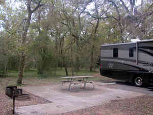 Brazos Bend State Park Review | Texas Outside