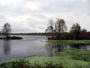 IMG 5728