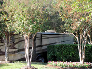 IMG 5857