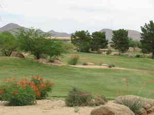 IMG 6338
