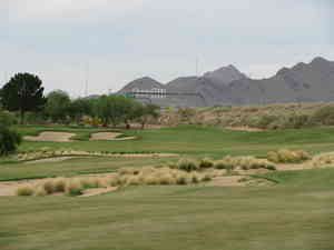 IMG 6356