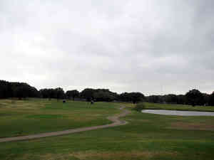 IMG 6498
