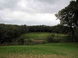 IMG 6510