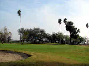 IMG 6568