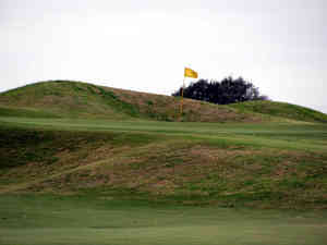 IMG 6954