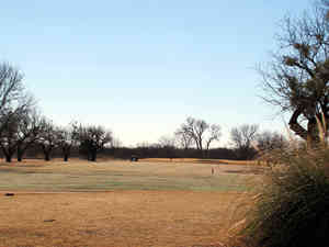 IMG 7057